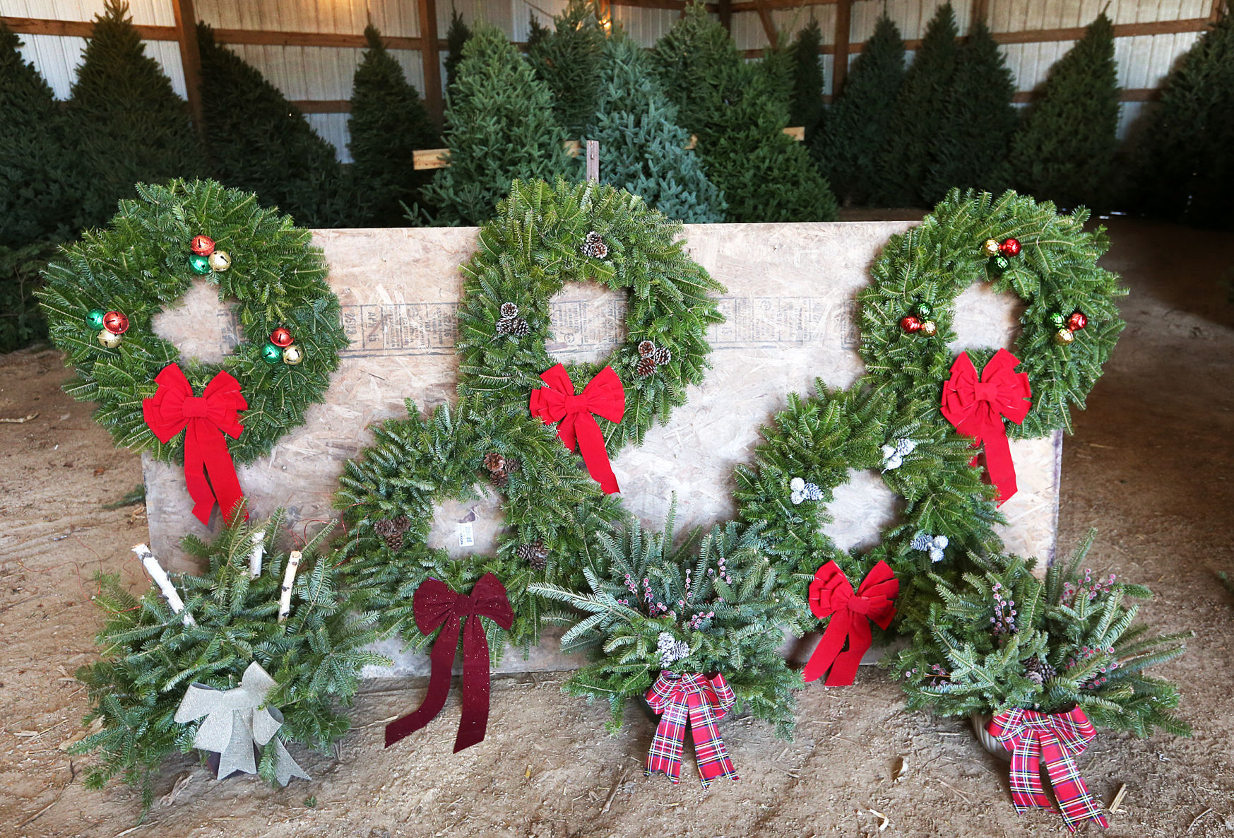 Pine Hobby Farm